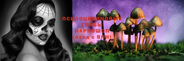 бутират Новодвинск