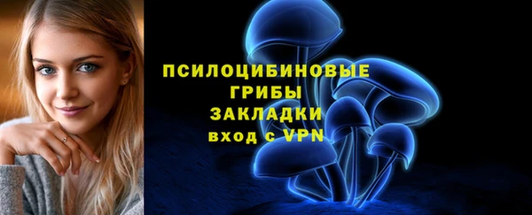 стафф Новокубанск