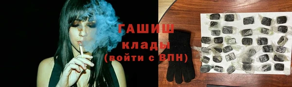 стафф Новокубанск