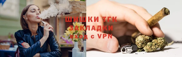 стафф Новокубанск