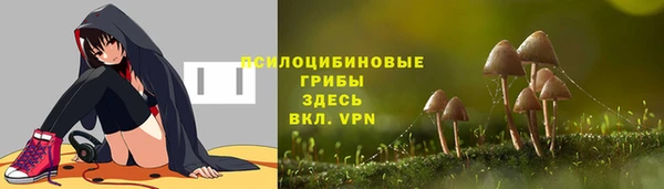 spice Новозыбков