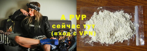 spice Новозыбков