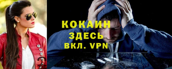 стафф Новокубанск