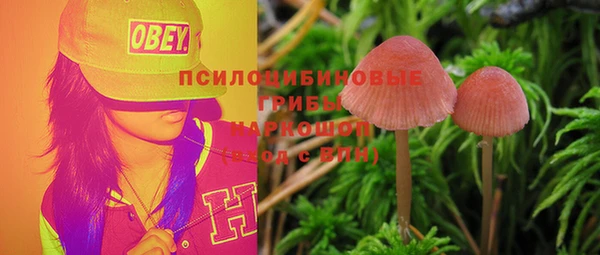 spice Новозыбков