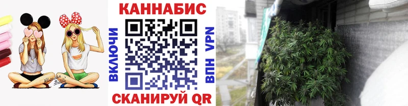 Шишки марихуана планчик Ковдор